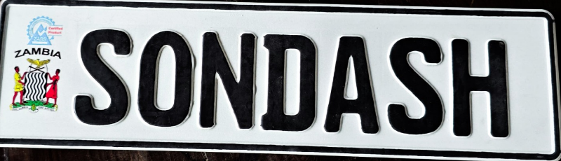 Compact Size License Plate